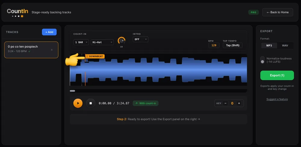 CountIn showing a backing track waveform with the detected tempo of 120 BPM and the orange DOWNBEAT marker on beat one